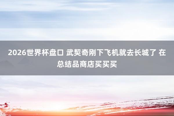 2026世界杯盘口 武契奇刚下飞机就去长城了 在总结品商店买买买