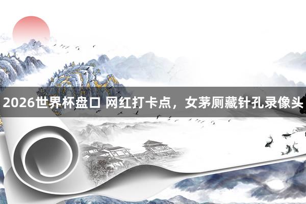 2026世界杯盘口 网红打卡点，女茅厕藏针孔录像头