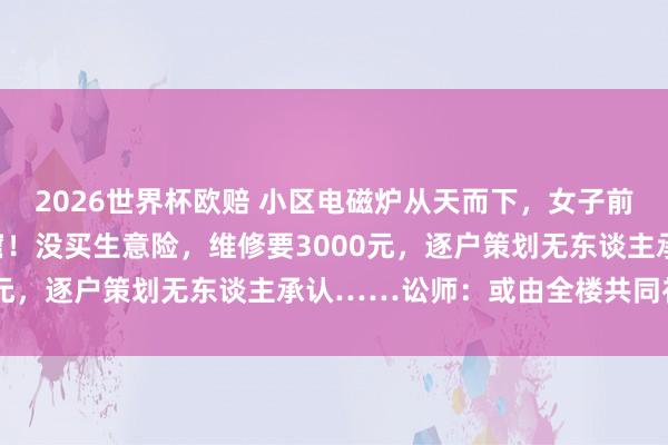 2026世界杯欧赔 小区电磁炉从天而下，女子前年买的新车被砸出大洞窟！没买生意险，维修要3000元，逐户策划无东谈主承认……讼师：或由全楼共同补偿