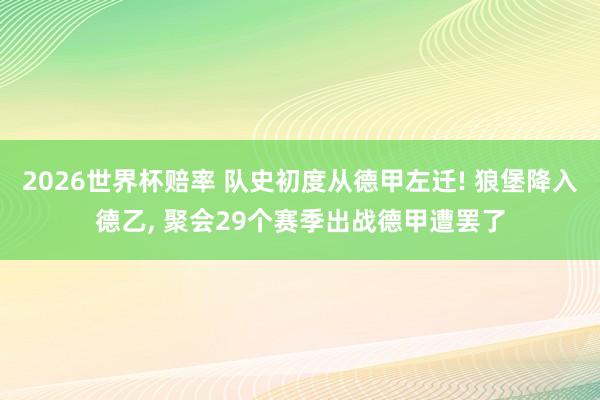 2026世界杯赔率 队史初度从德甲左迁! 狼堡降入德乙， 聚会29个赛季出战德甲遭罢了