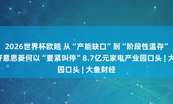 2026世界杯欧赔 从“产能缺口”到“阶段性温存”， 长虹好意思菱何以“要紧叫停”8.7亿元家电产业园口头 | 大鱼财经