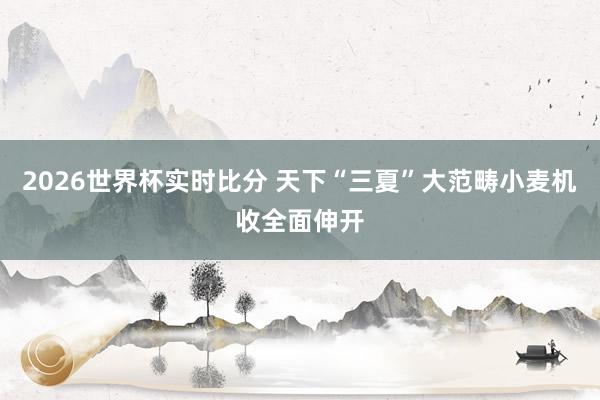 2026世界杯实时比分 天下“三夏”大范畴小麦机收全面伸开