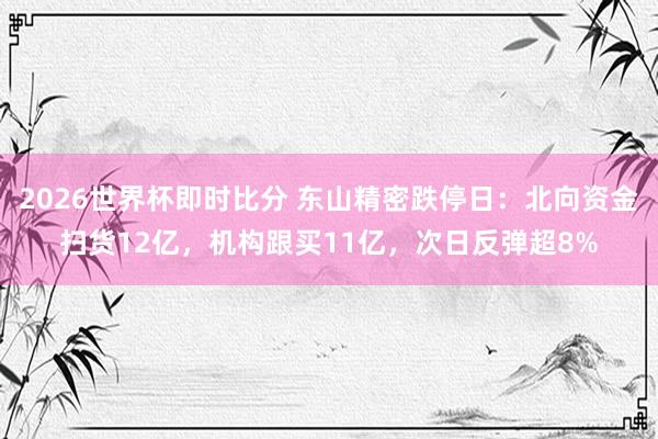 2026世界杯即时比分 东山精密跌停日：北向资金扫货12亿，机构跟买11亿，次日反弹超8%