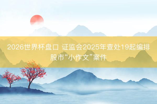 2026世界杯盘口 证监会2025年查处19起编排股市“小作文”案件