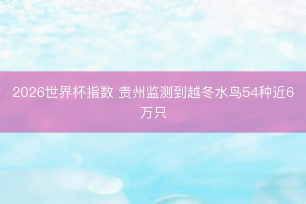 2026世界杯指数 贵州监测到越冬水鸟54种近6万只